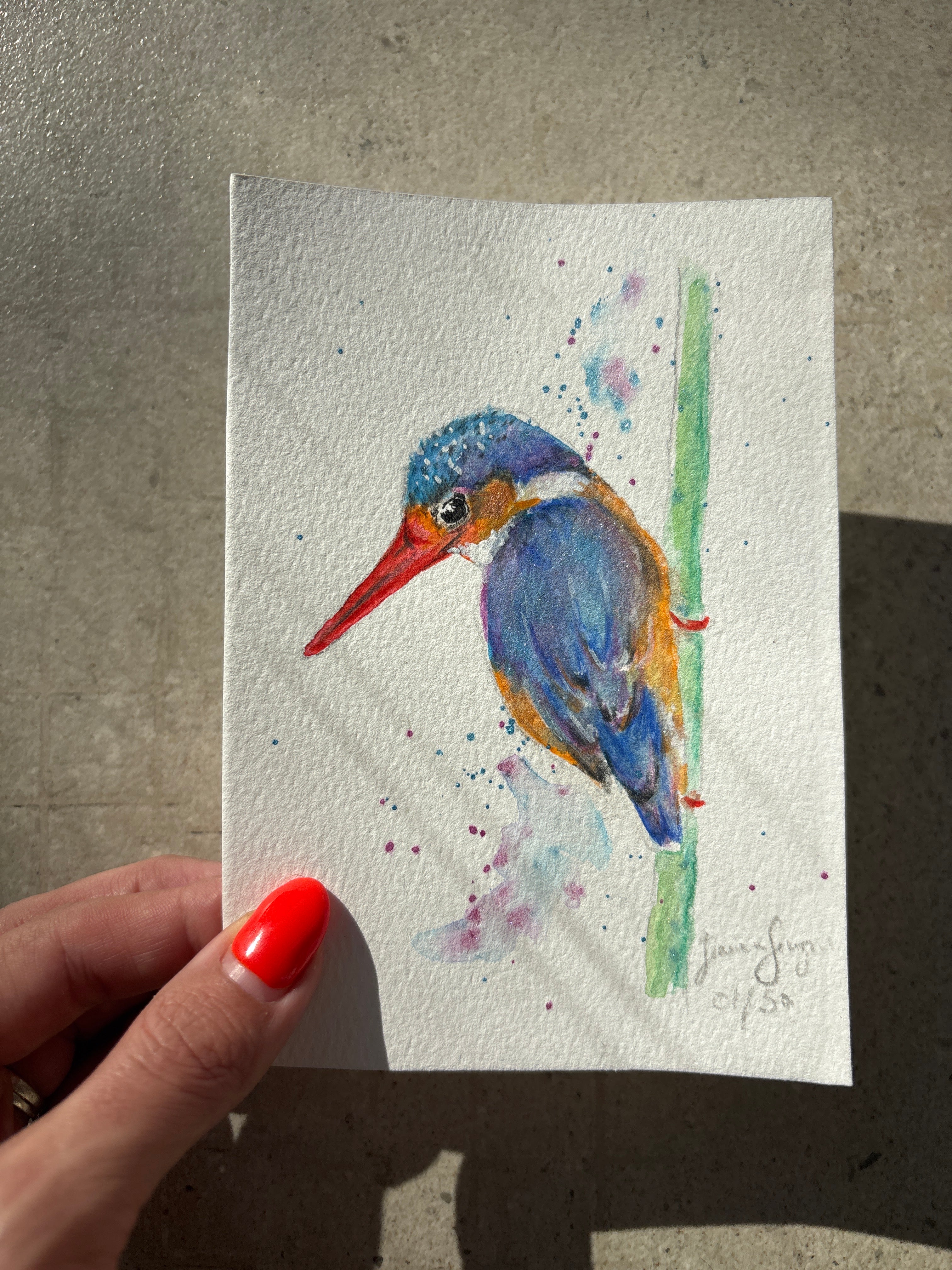 Tiny Original- Malachite Kingfisher