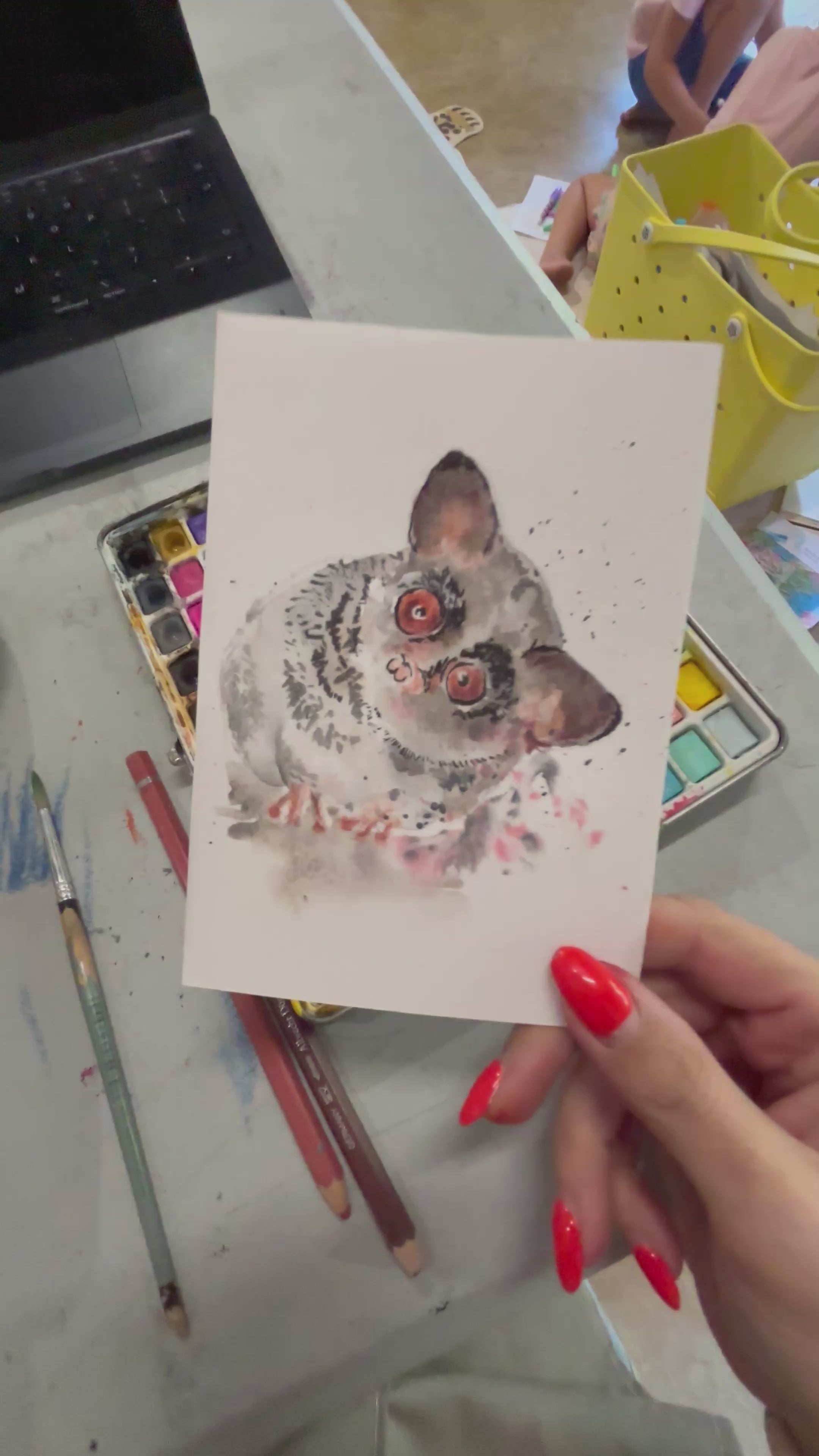 Tiny Original- Bushbaby