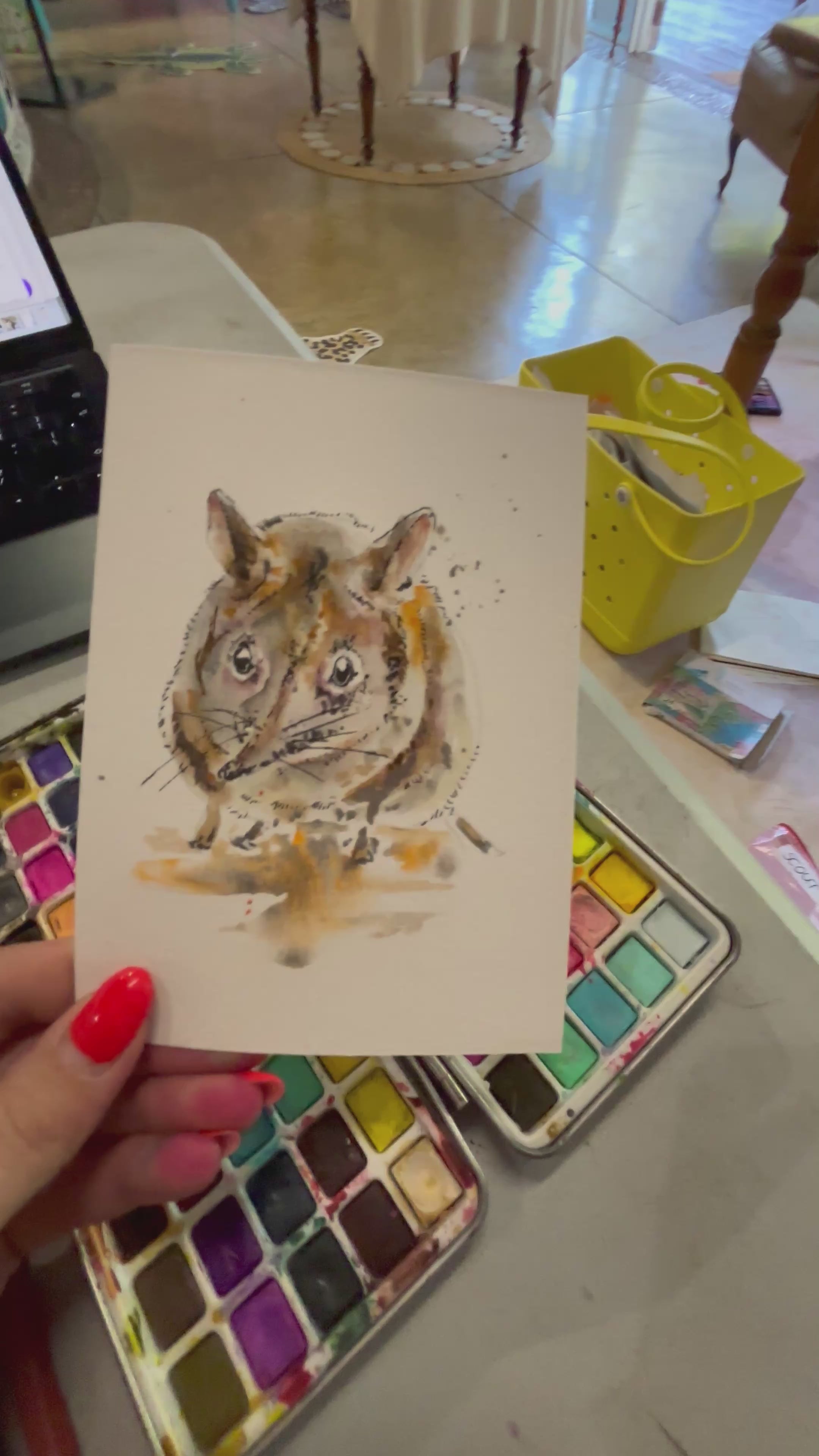 Tiny Original- Elephant Shrew